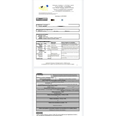 Eukalyptushonig aus Marokko - 250g