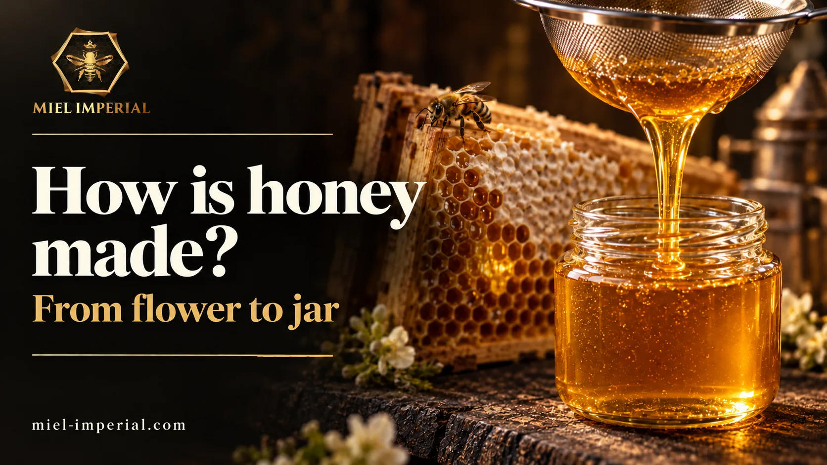 How is honey made? | Miel Impérial