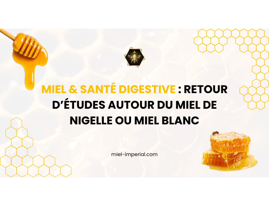 Miel & santé digestive : retour d’études autour du miel de nigelle ou miel blanc