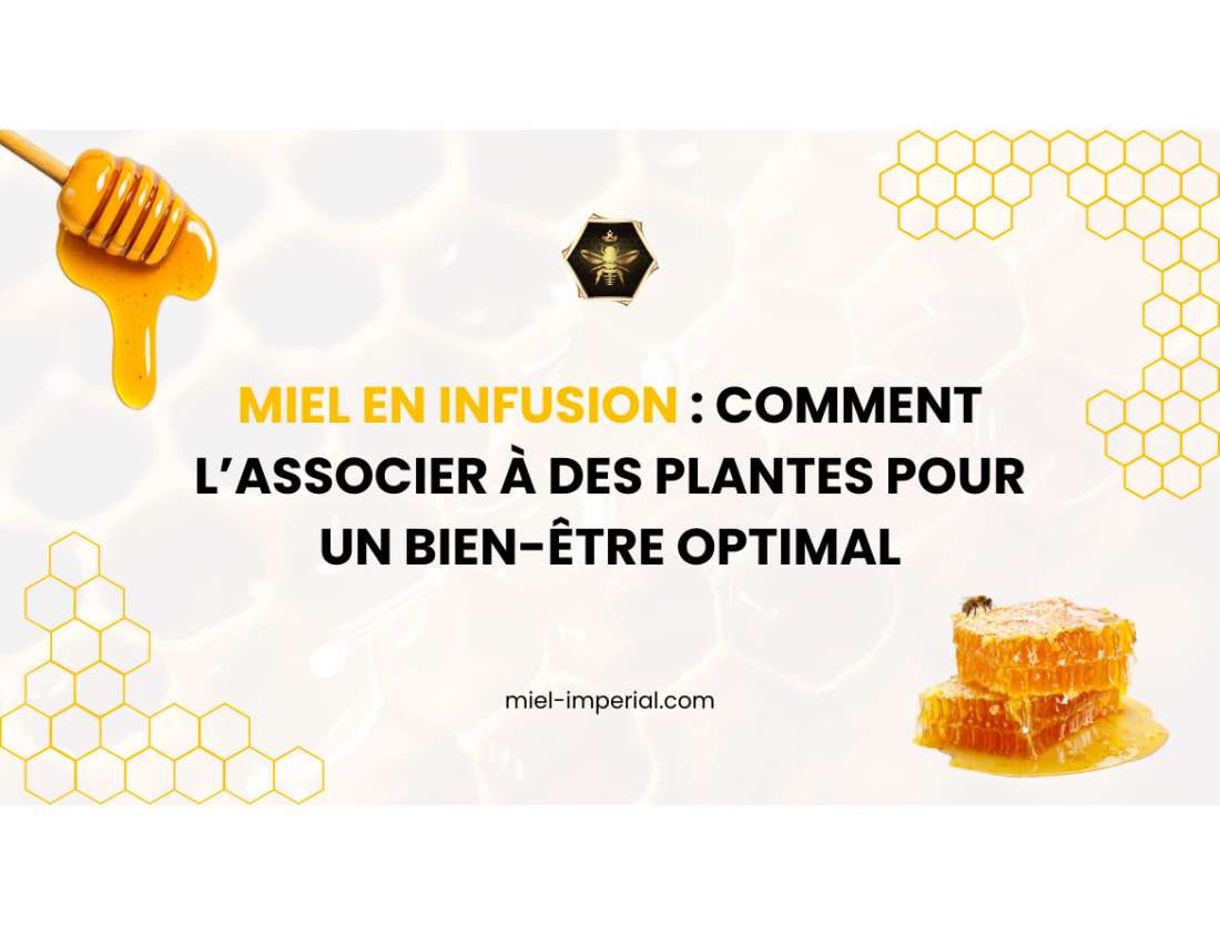 Miel en infusion : comment l’associer à des plantes pour un bien-être optimal