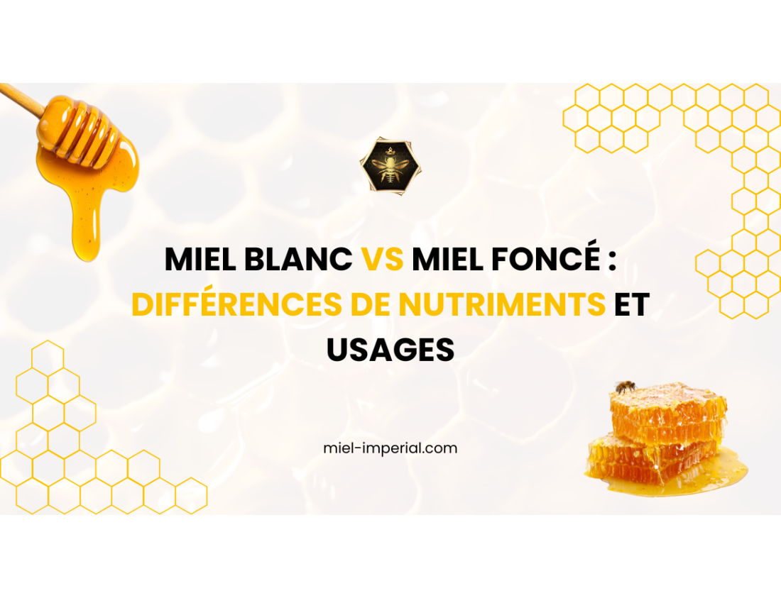 Miel blanc vs miel foncé : différences de nutriments et usages