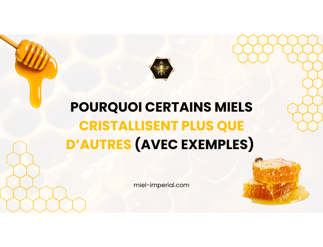 Pourquoi certains miels cristallisent plus que d’autres (avec exemples Sidr, blanc…) 