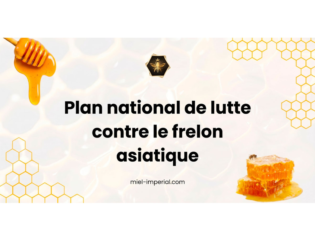 Plan national de lutte contre le frelon asiatique : enjeux, mesures et acteurs concernés