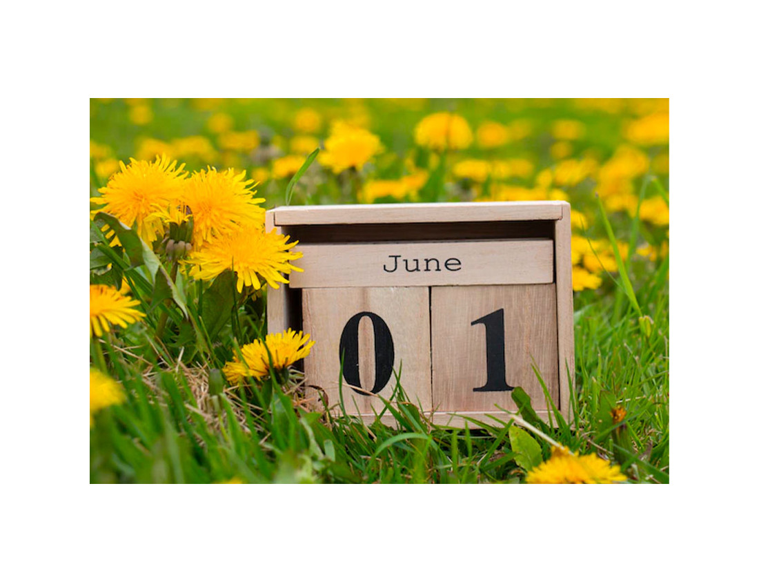 El calendario apícola mes a mes