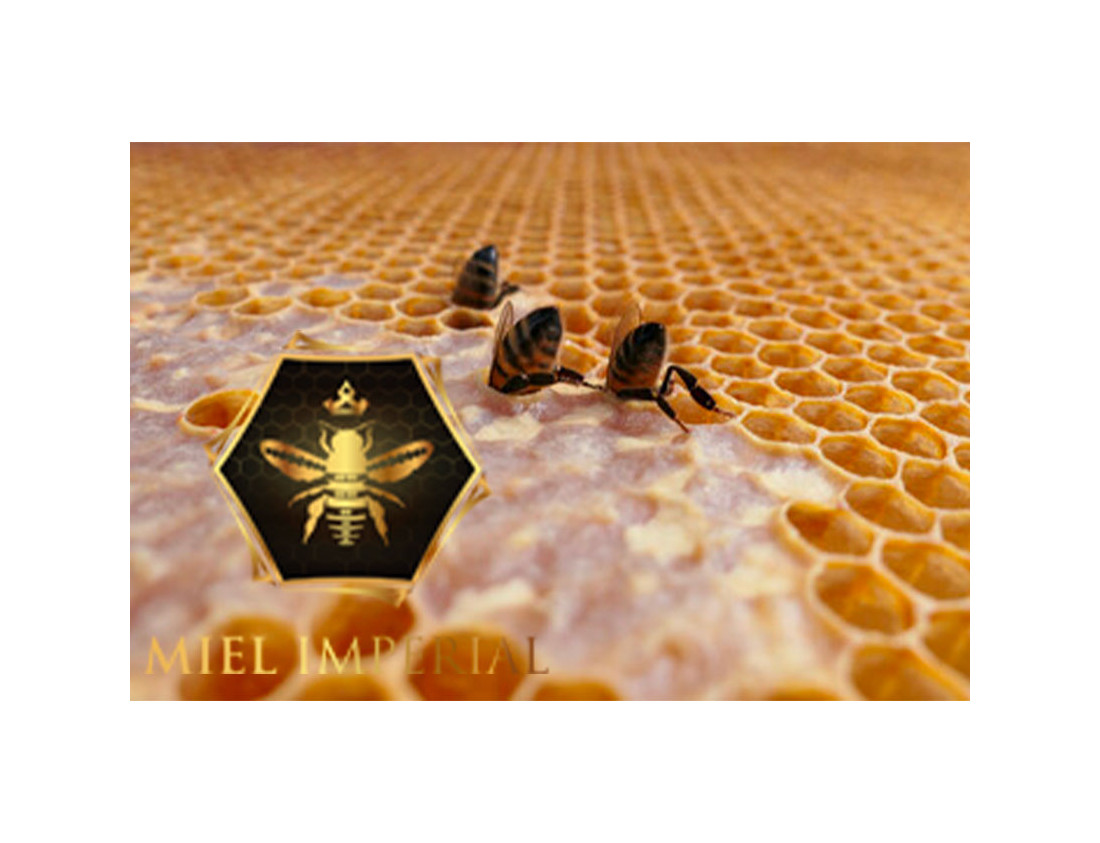 Los increíbles beneficios de la cera de abejas
