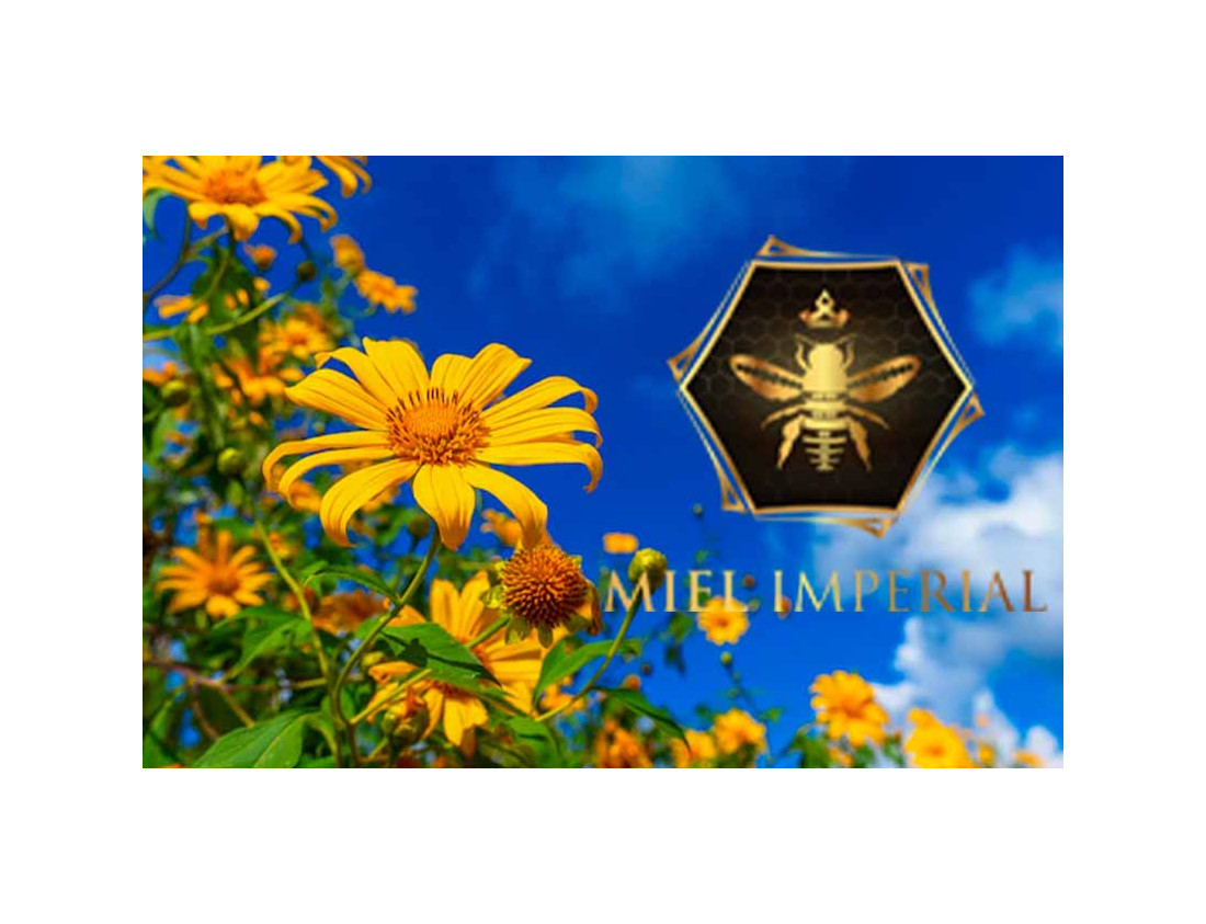 Miel de girasol: un tesoro de oro para la salud y el paladar