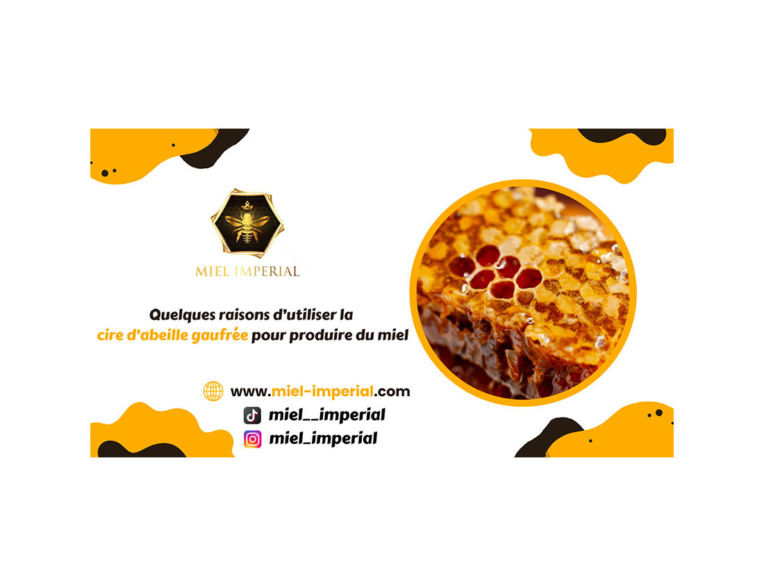 Quelques raisons d’utiliser la cire d’abeille gaufrée pour produire du miel