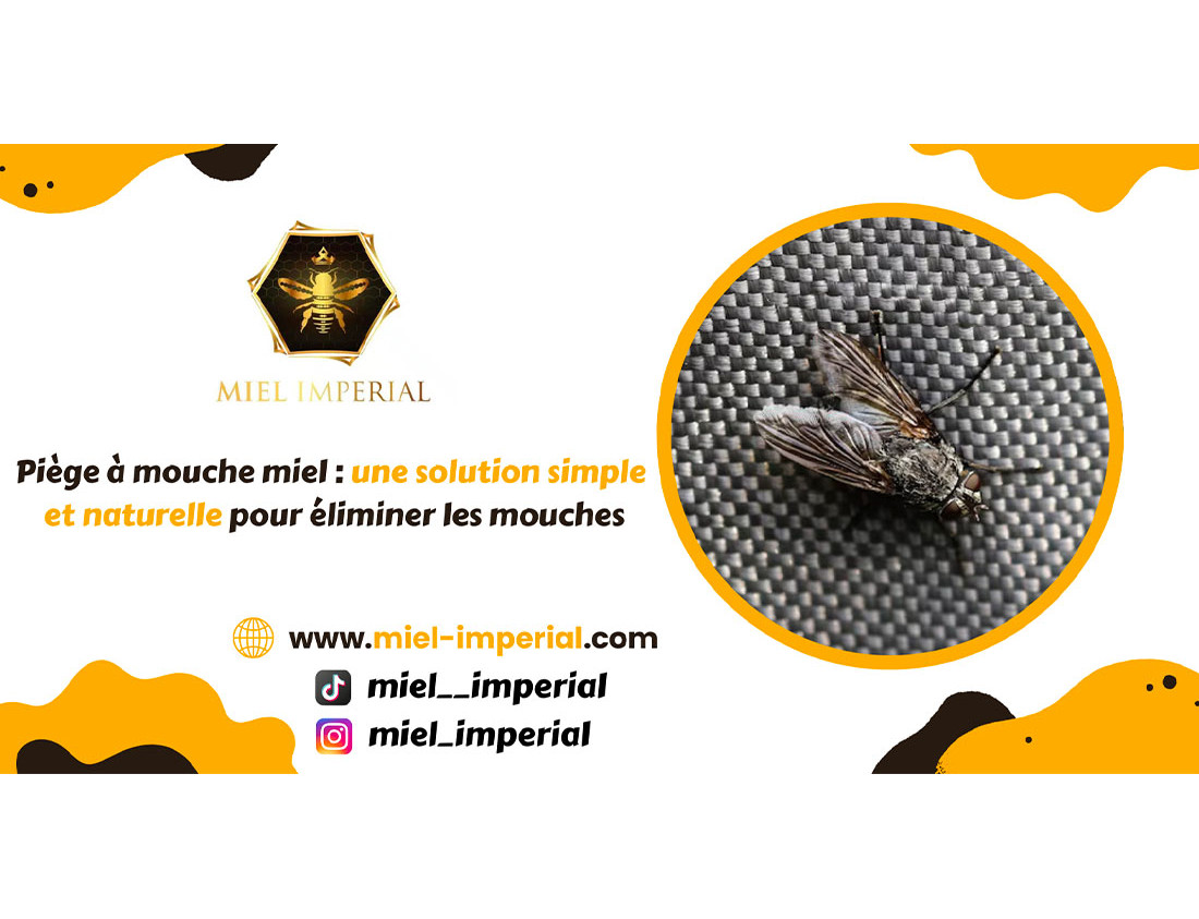 Piège à mouche miel : une solution simple et naturelle pour éliminer les mouches