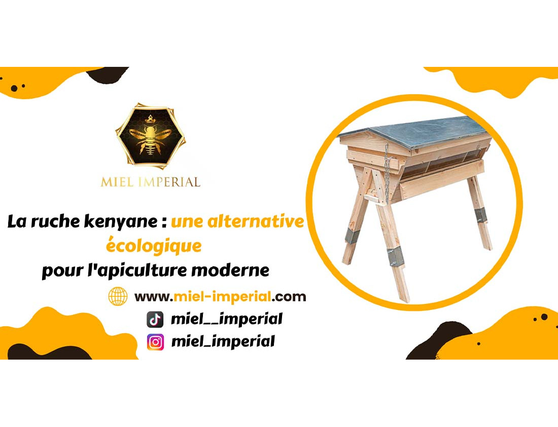 The Kenyan hive: an ecological alternative for modern beekeeping