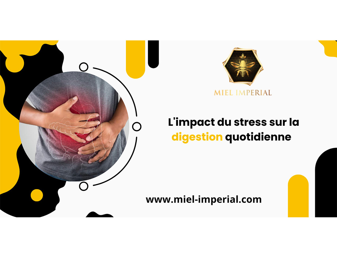 L'impact du stress sur la digestion quotidienne  