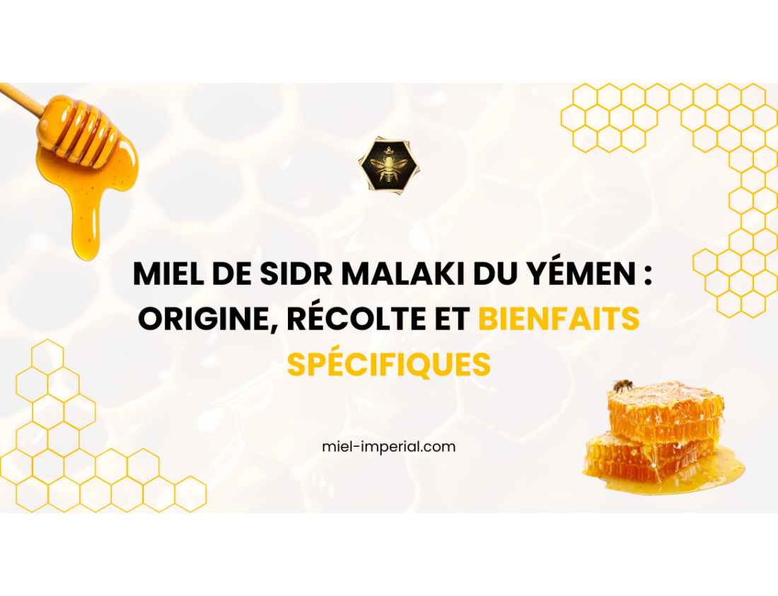  Miel de Sidr Malaki du Yémen : origine, récolte et bienfaits spécifiques
