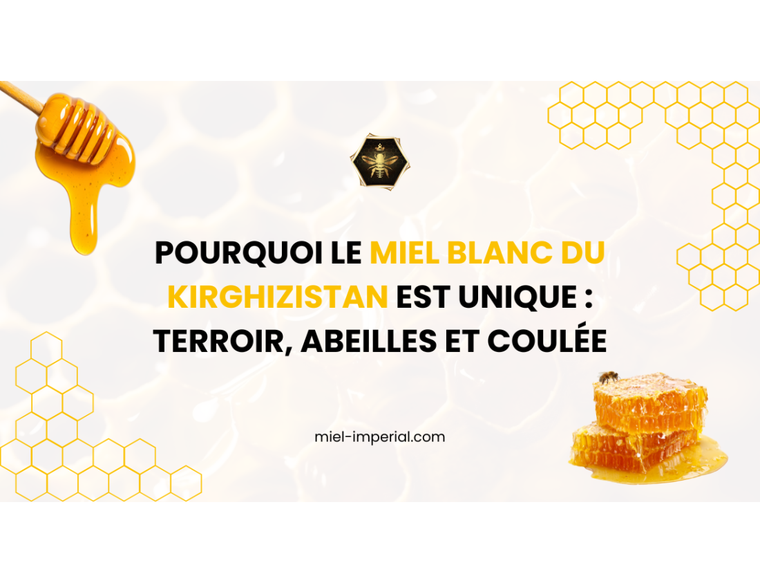 Pourquoi le miel blanc du Kirghizistan est unique : terroir, abeilles et coulée