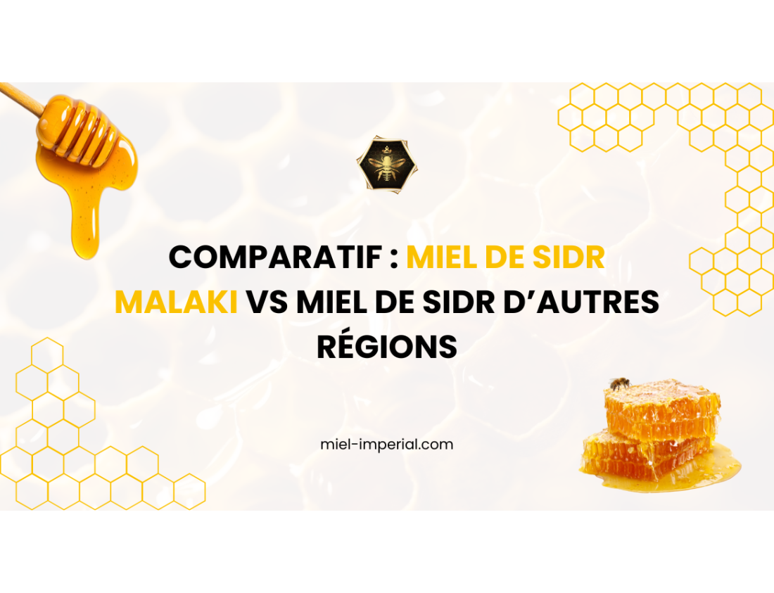 Comparatif : miel de Sidr Malaki vs miel de Sidr d’autres régions