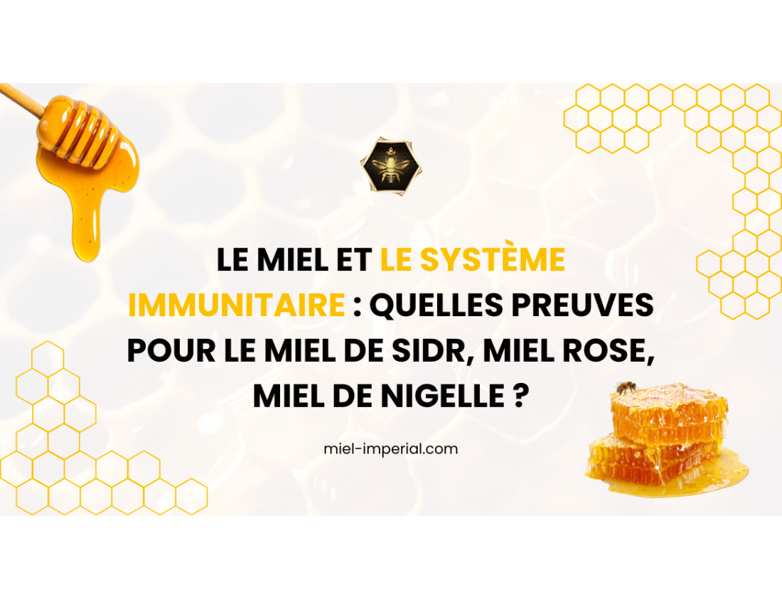 Le miel et le système immunitaire : quelles preuves pour le miel de Sidr, miel rose, miel de nigelle ?