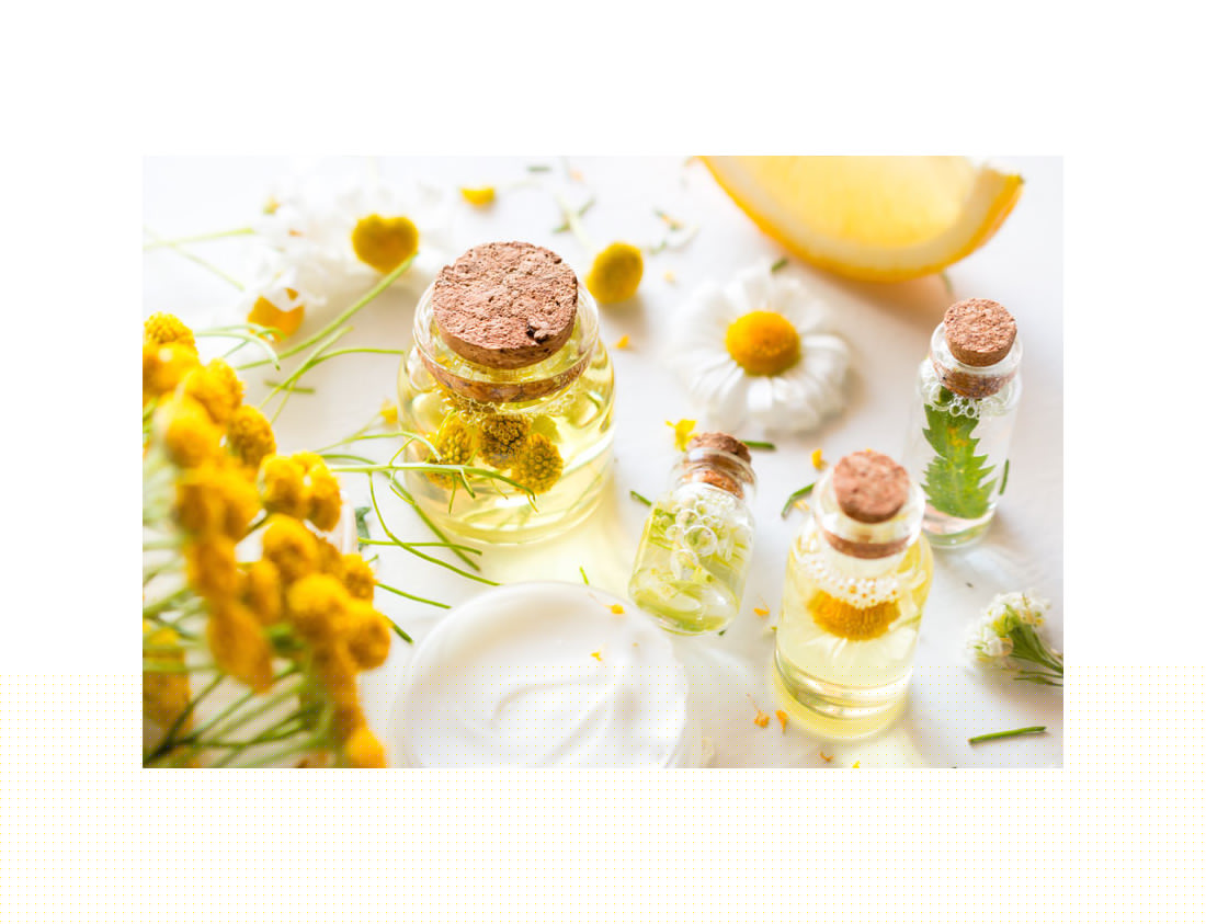 ¿Qué son los aceites vegetales? Tesoros poco conocidos