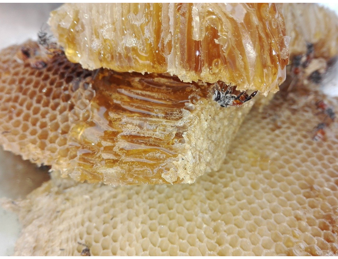Why does honey crystallize?